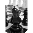 Übergames Garten Schachfiguren: Detail - Holzspielzeug Profi